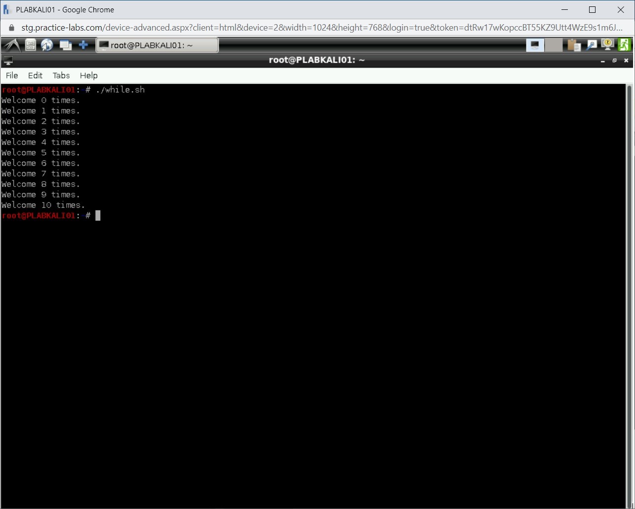 Figure 2.46 Screenshot of PLABKALI01