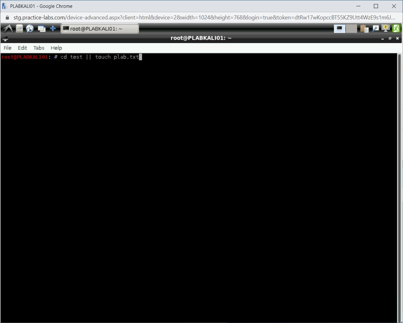 Figure 3.3 Screenshot of PLABKALI01