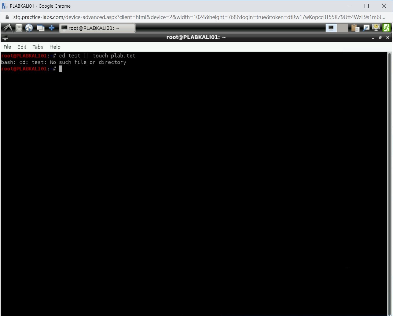 Figure 3.4 Screenshot of PLABKALI01