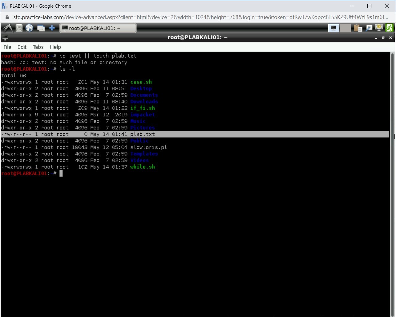 Figure 3.6 Screenshot of PLABKALI01