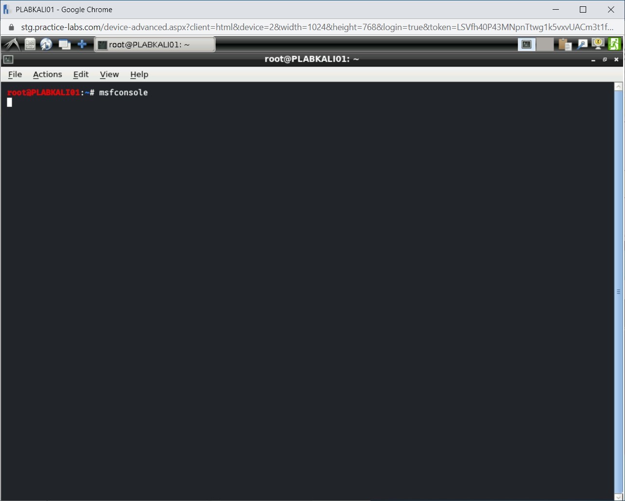 Figure 1.10 Screenshot of PLABKALI01