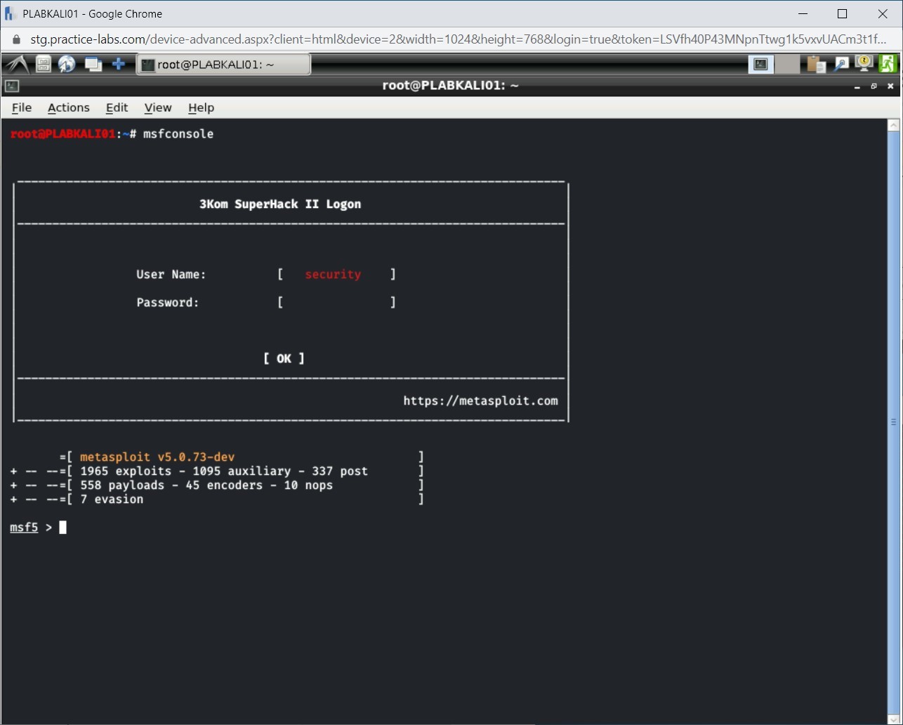 Figure 1.11 Screenshot of PLABKALI01
