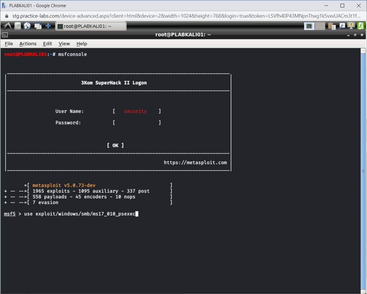 Figure 1.12 Screenshot of PLABKALI01