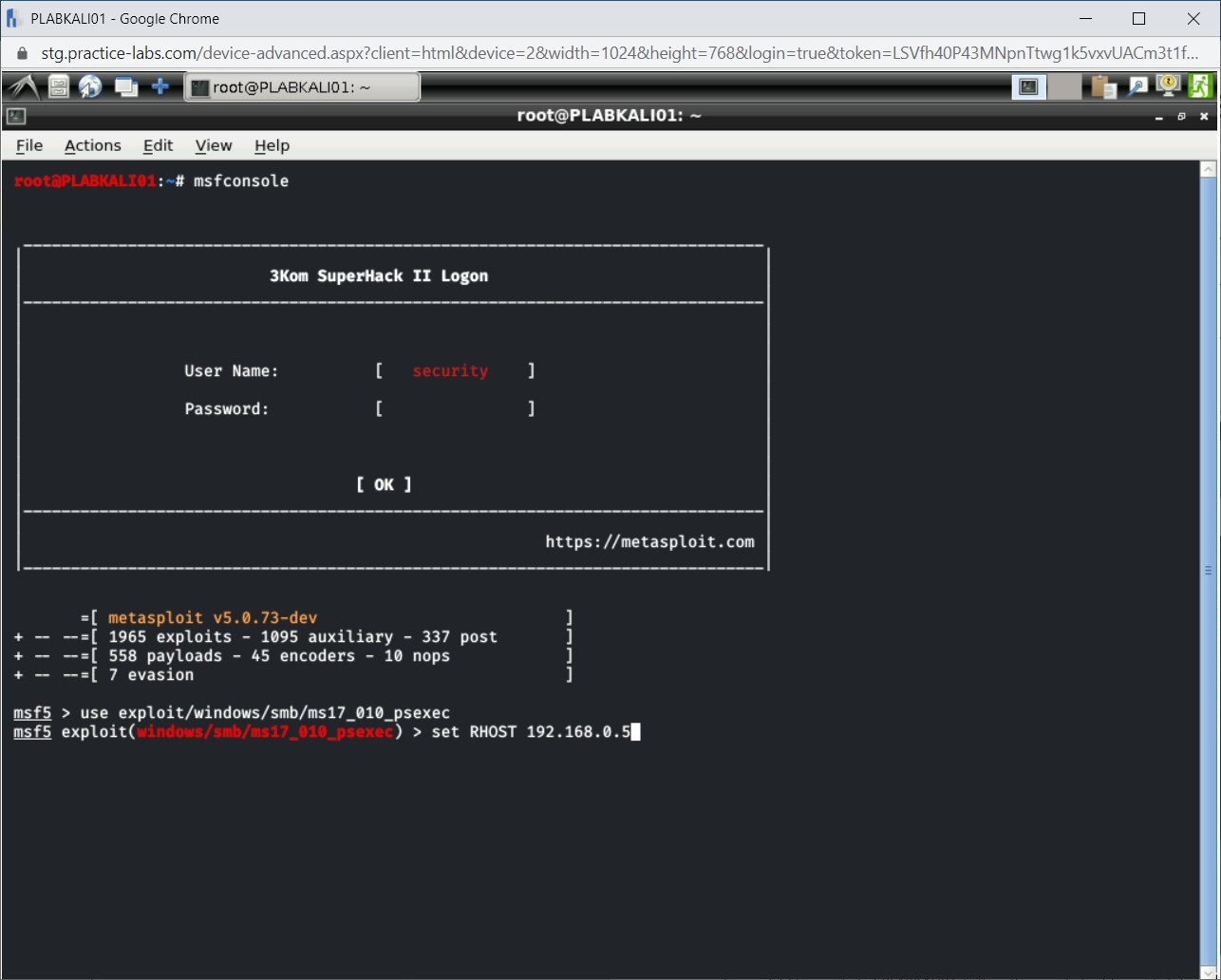 Figure 1.13 Screenshot of PLABKALI01