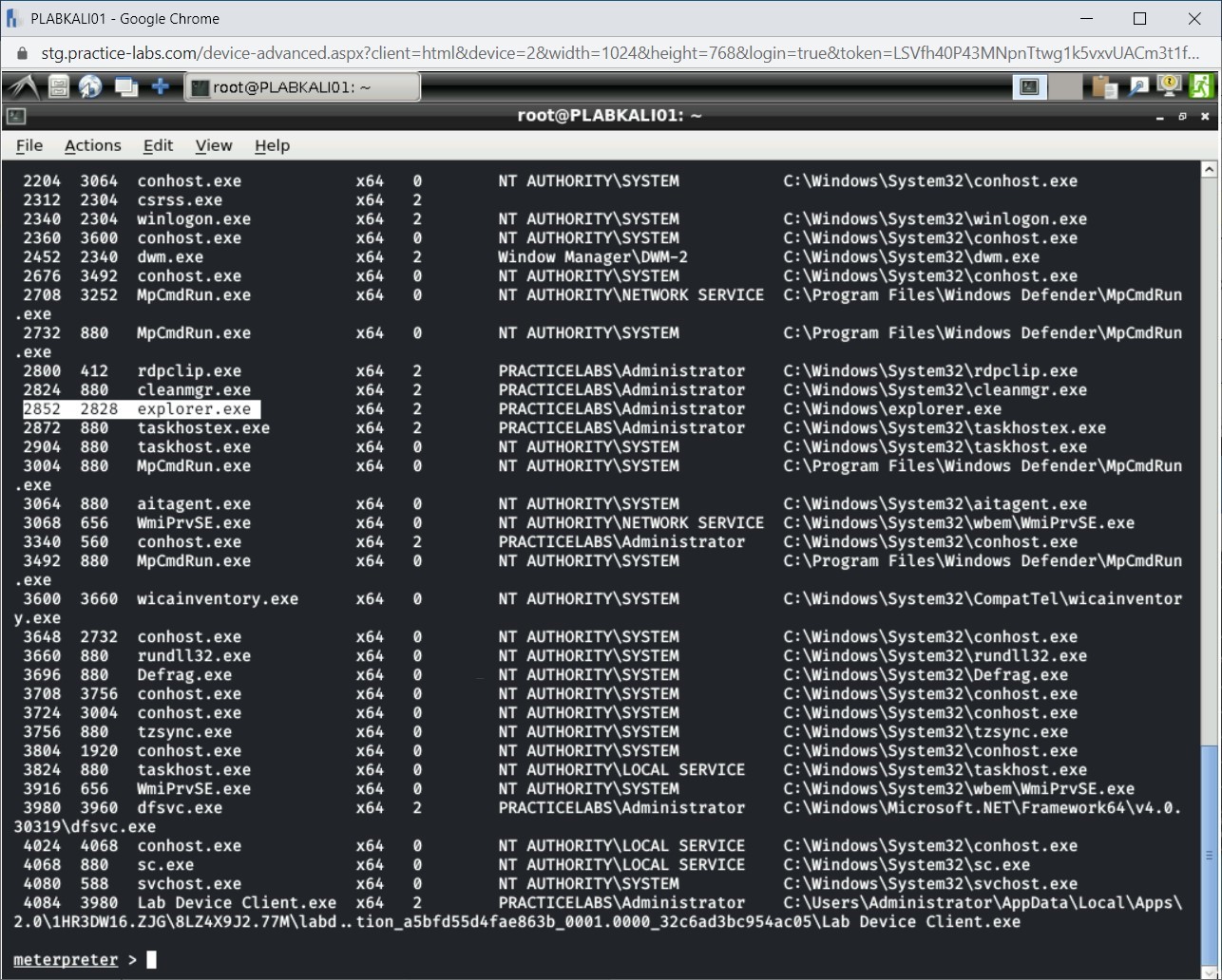 Figure 1.21 Screenshot of PLABKALI01