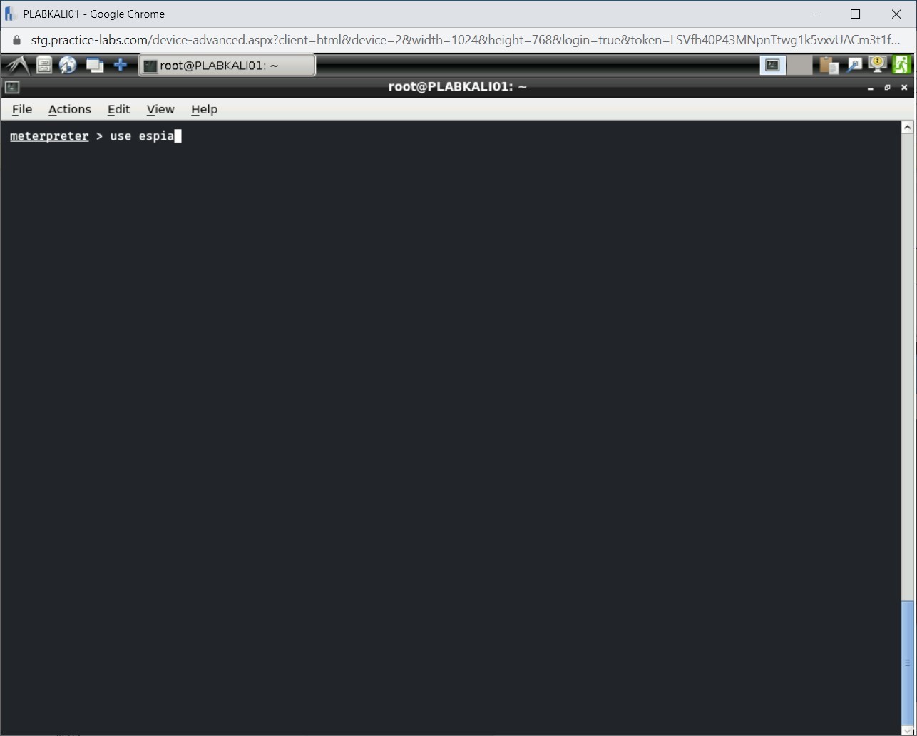 Figure 1.33 Screenshot of PLABKALI01