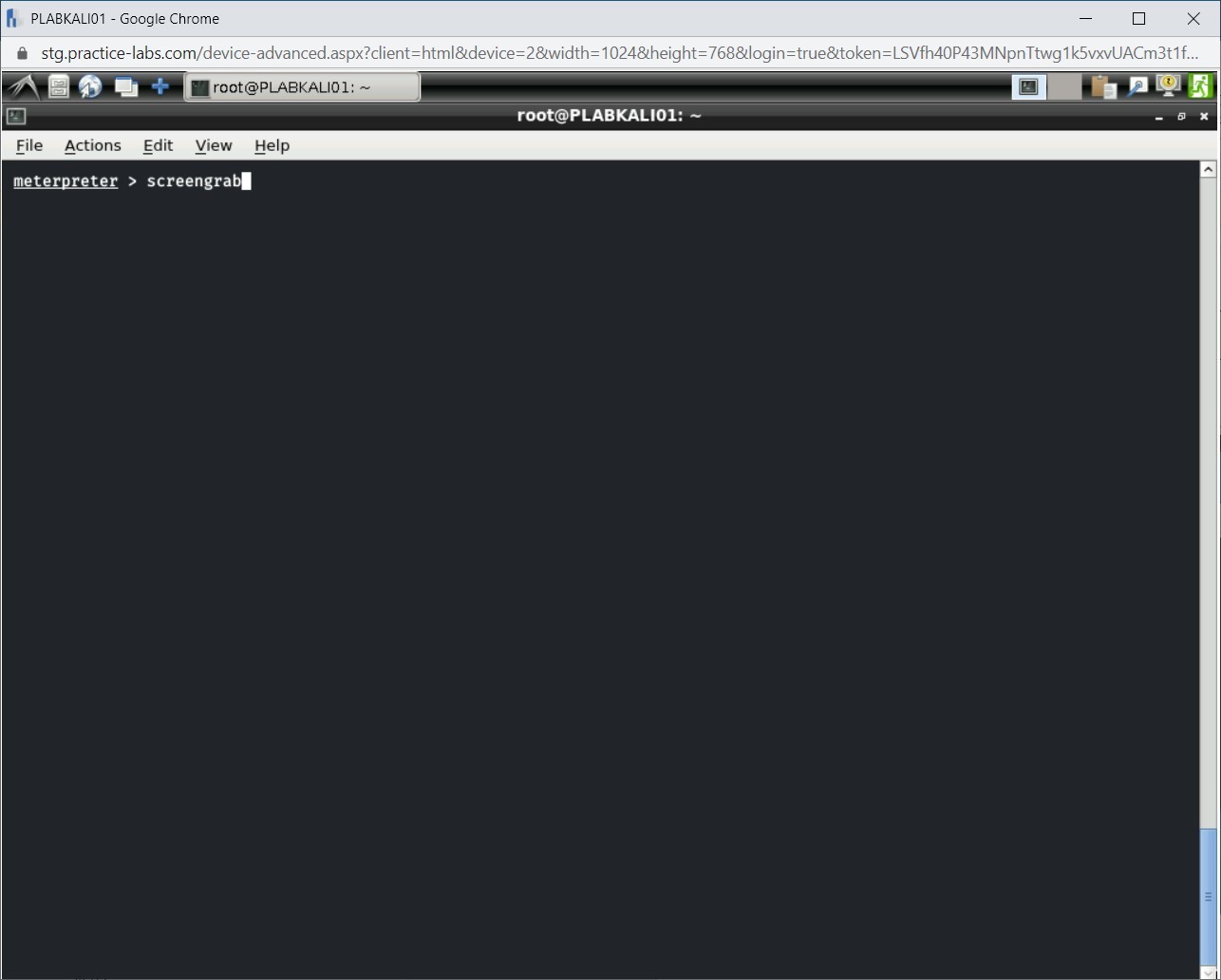 Figure 1.34 Screenshot of PLABKALI01