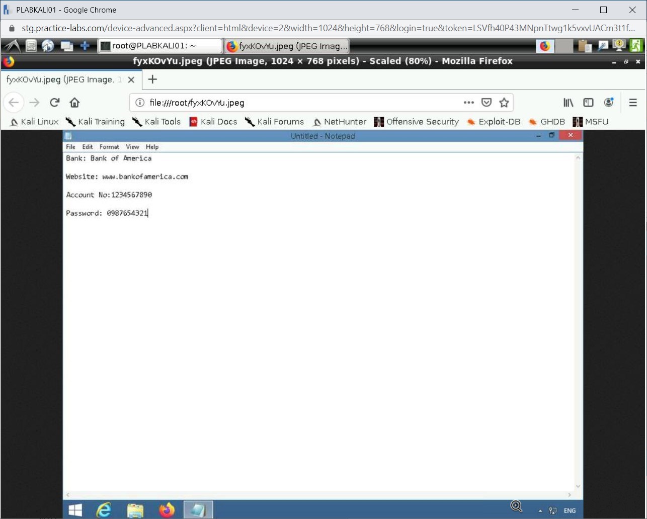 Figure 1.35 Screenshot of PLABKALI01