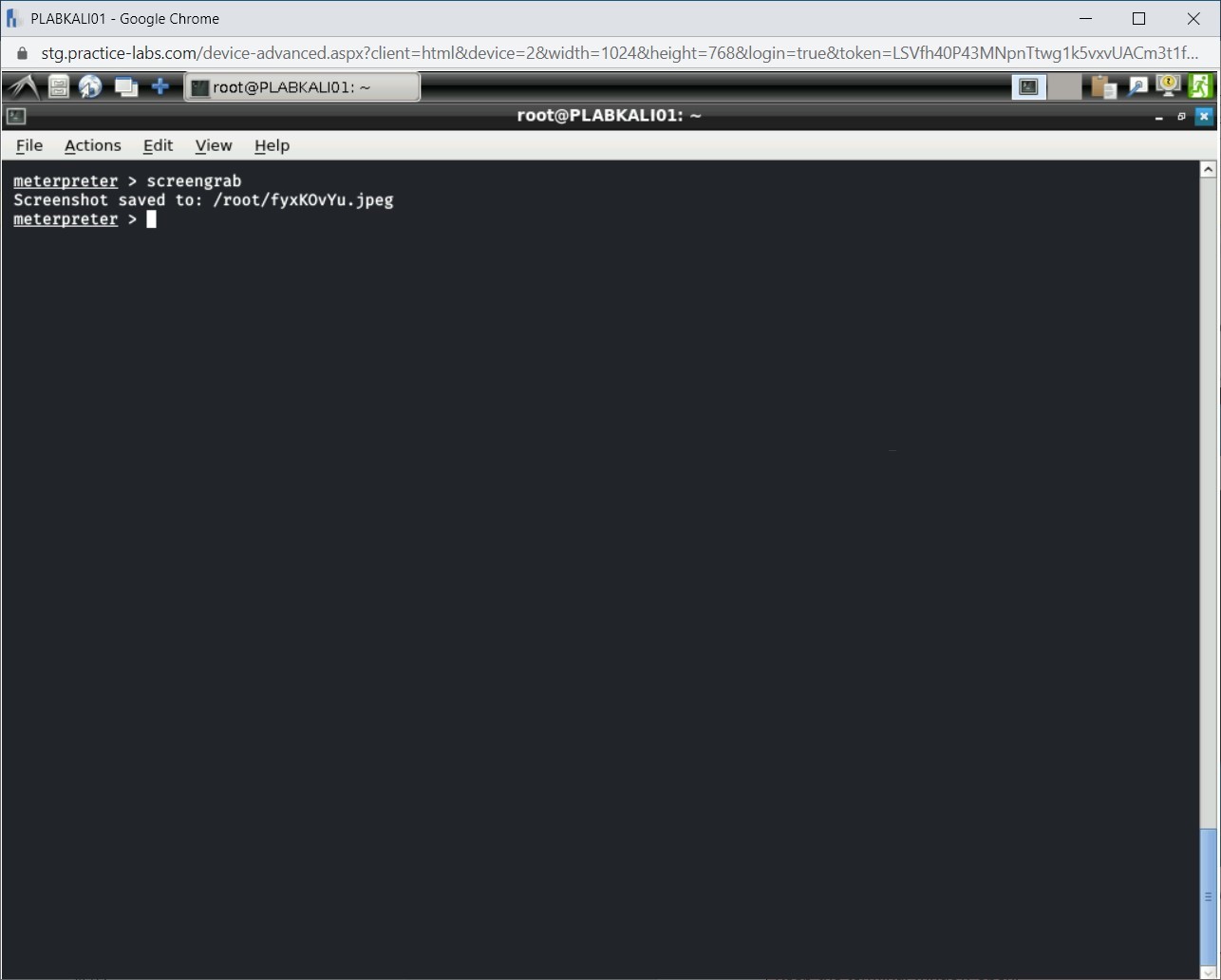 Figure 1.35 Screenshot of PLABKALI01