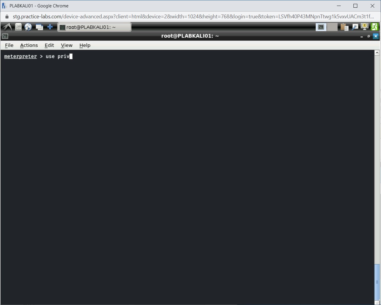 Figure 1.36 Screenshot of PLABKALI01