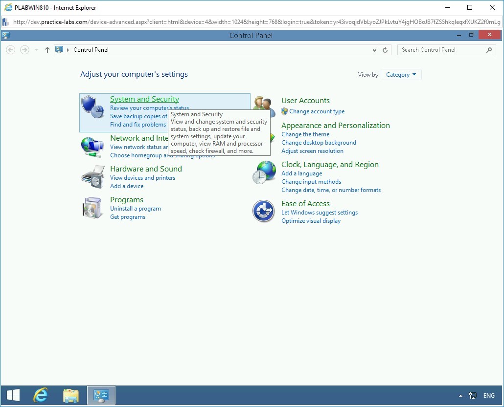Figure 1.3 Screenshot of PLABWIN810