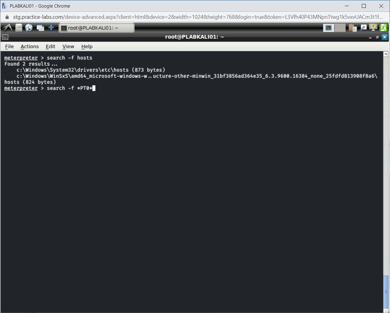 Figure 1.44 Screenshot of PLABKALI01