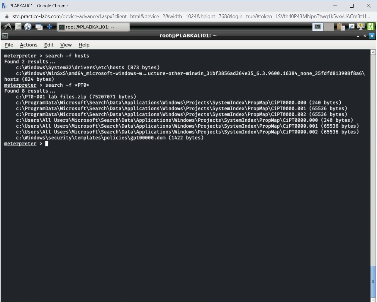 Figure 1.45 Screenshot of PLABKALI01