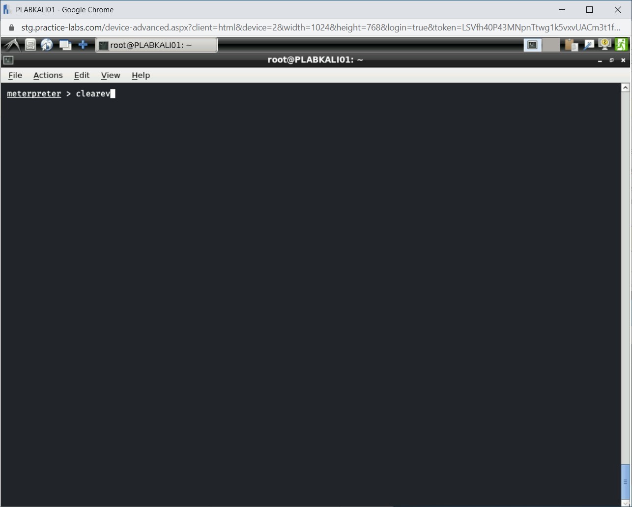 Figure 1.59 Screenshot of PLABKALI01