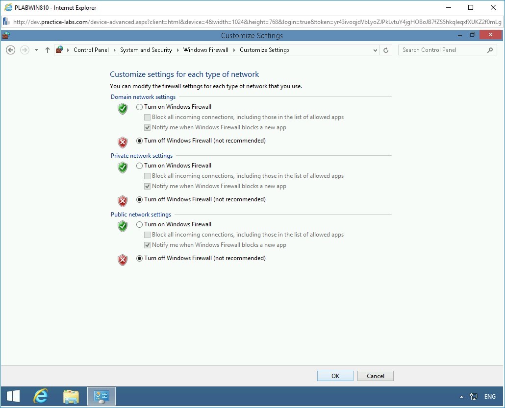 Figure 1.6 Screenshot of PLABWIN810