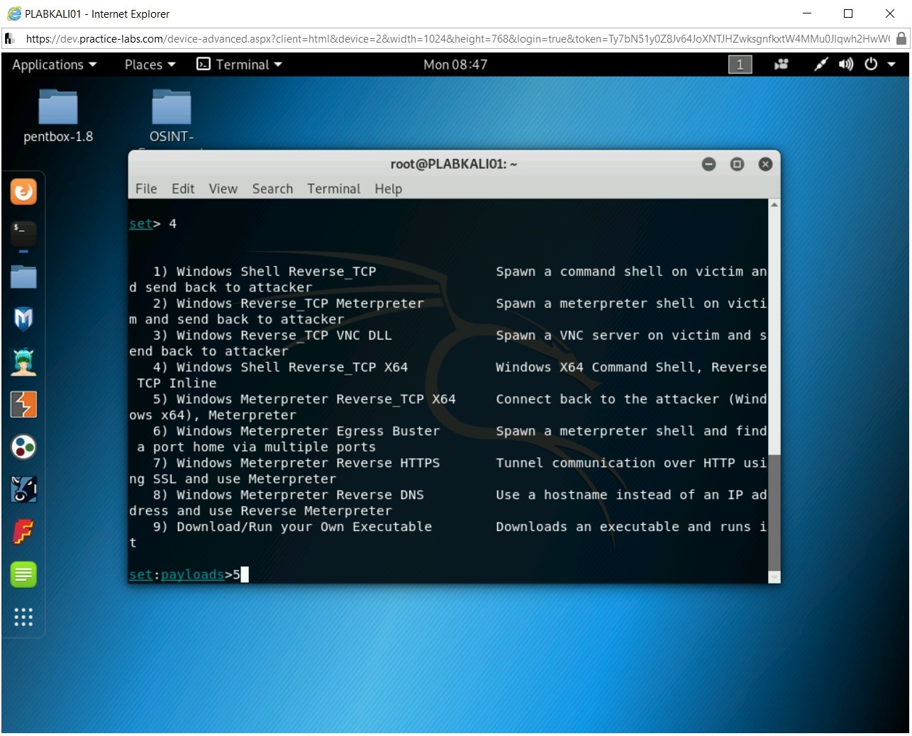 Figure 2.7 Screenshot of PLABKALI01