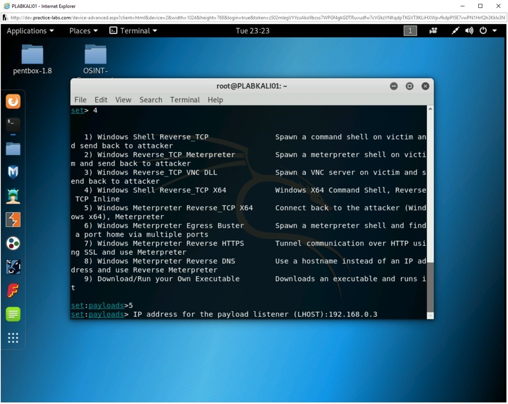 Figure 2.8 Screenshot of PLABKALI01