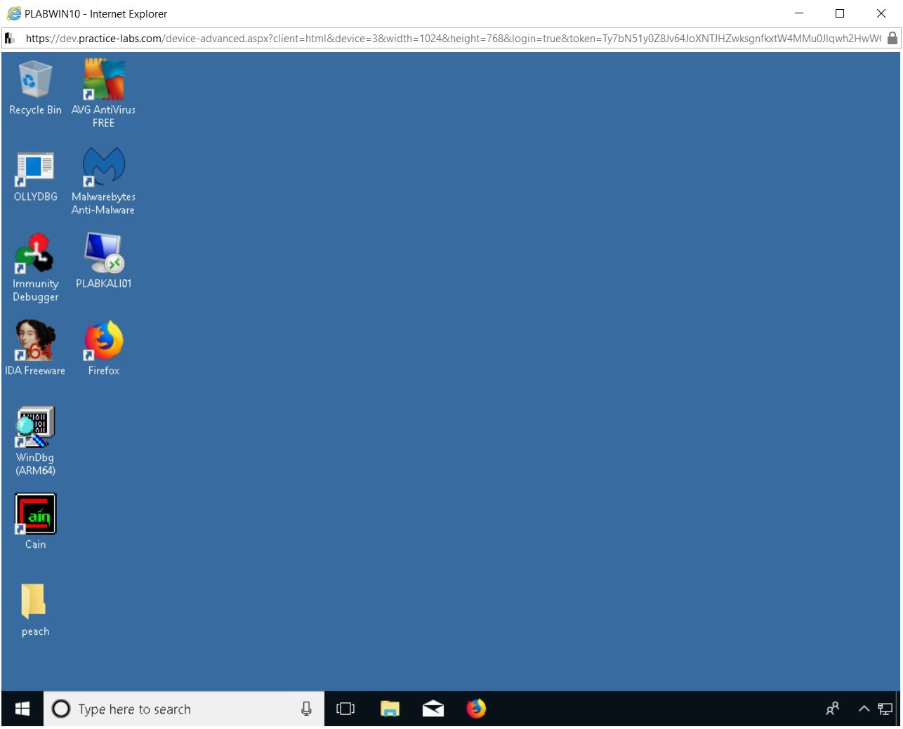 Figure 2.17 Screenshot of PLABWIN10