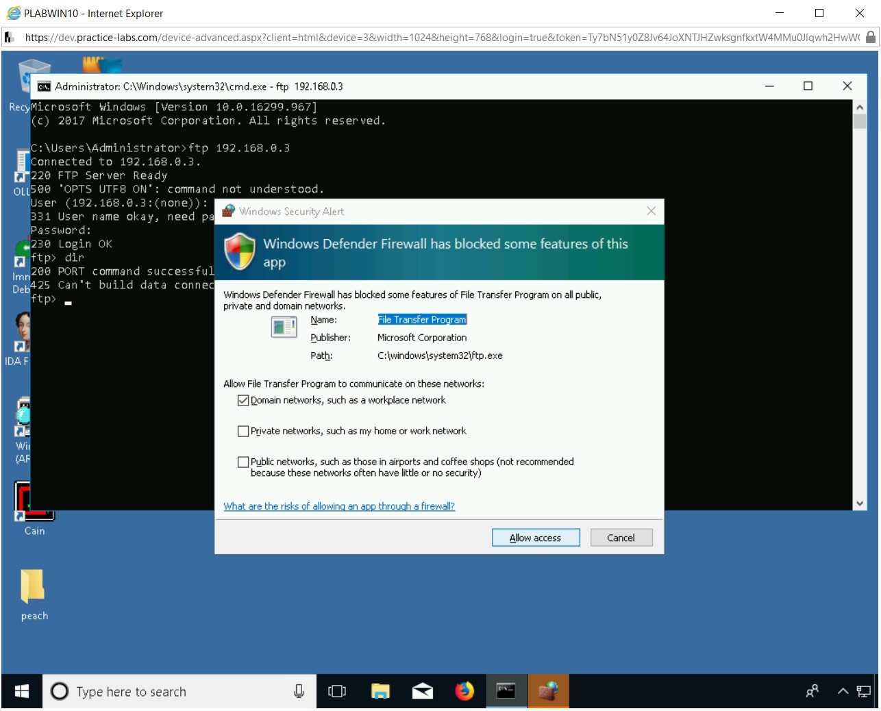 Figure 2.29 Screenshot of PLABWIN10