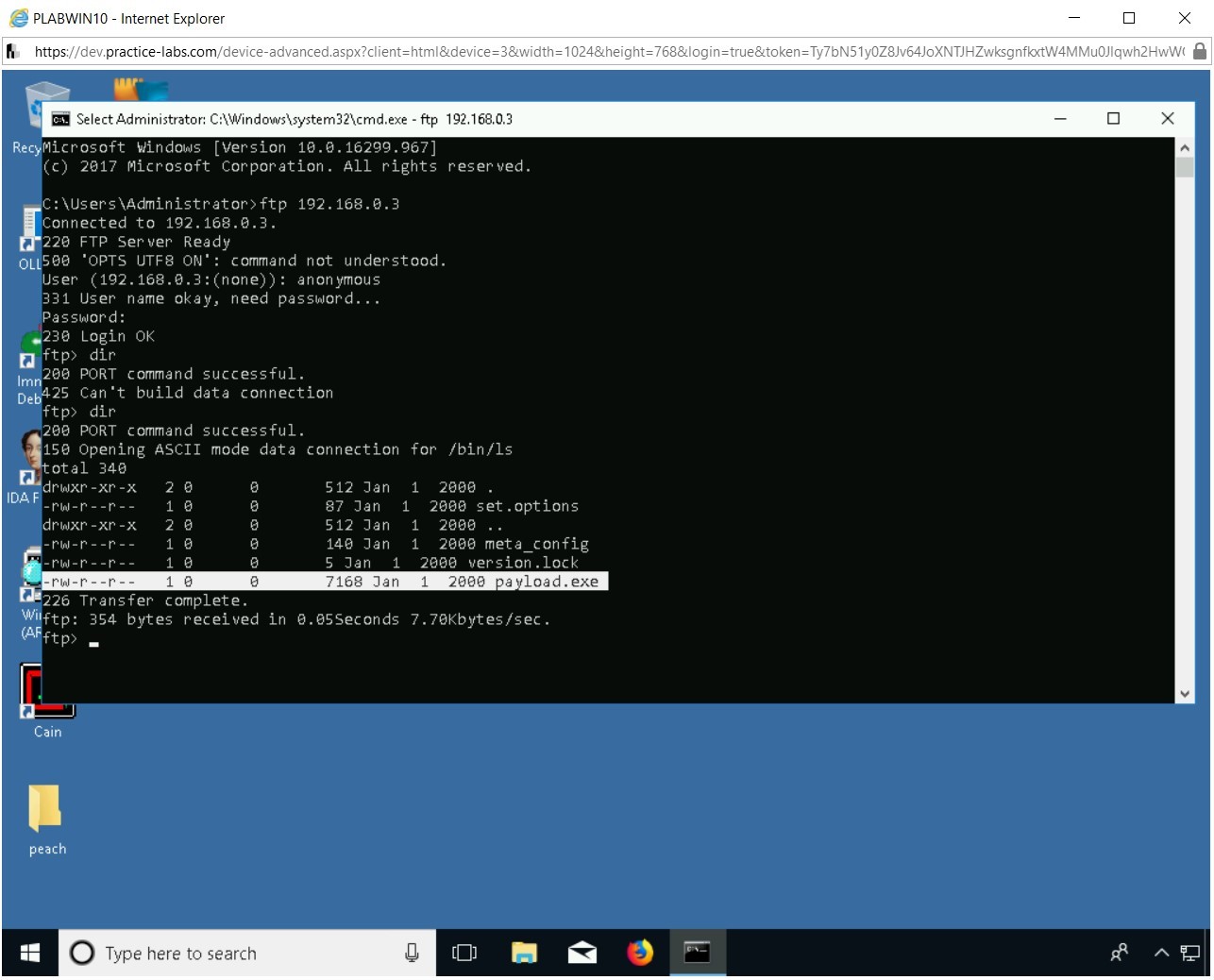 Figure 2.30 Screenshot of PLABWIN10