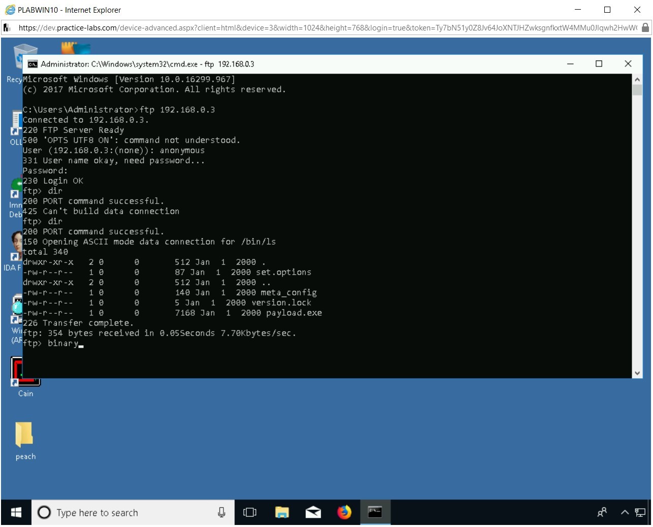 Figure 2.31 Screenshot of PLABWIN10
