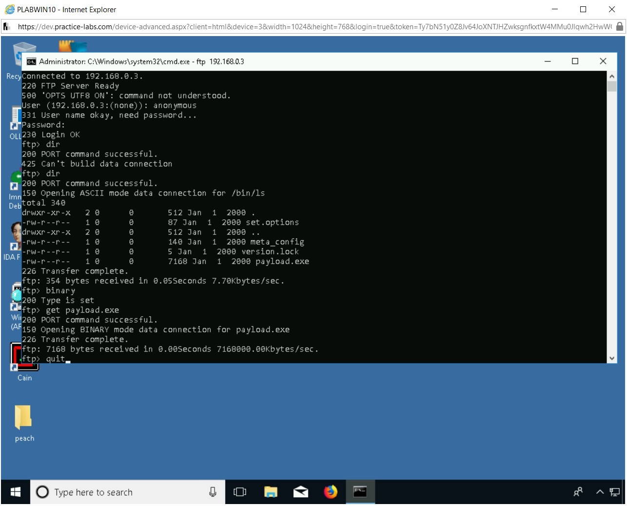 Figure 2.35 Screenshot of PLABWIN10