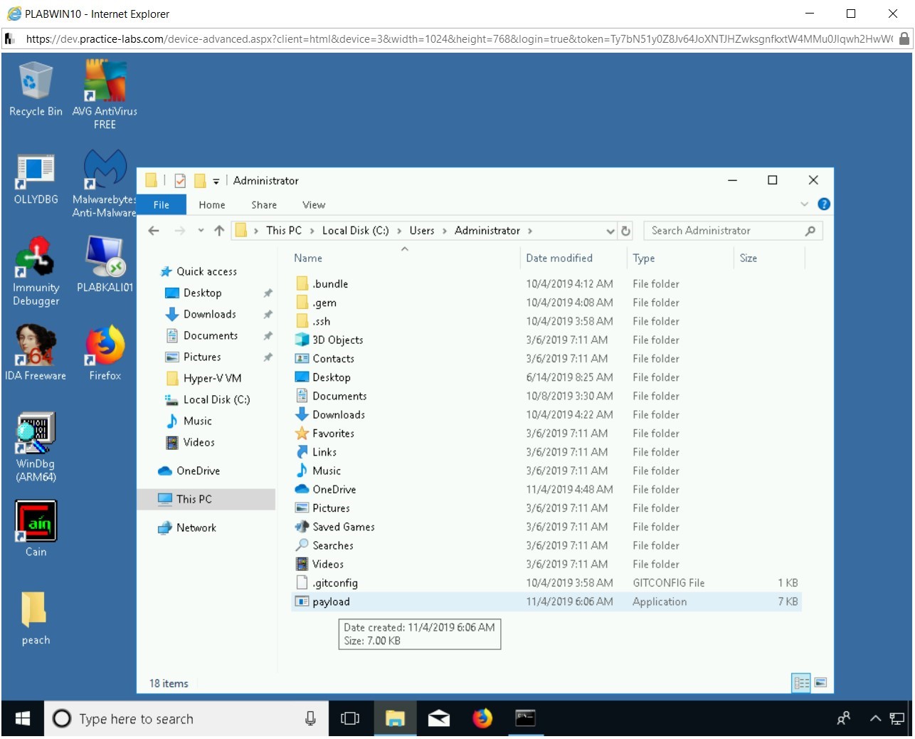 Figure 2.37 Screenshot of PLABWIN10