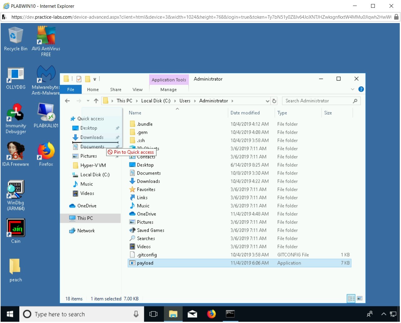 Figure 2.38 Screenshot of PLABWIN10