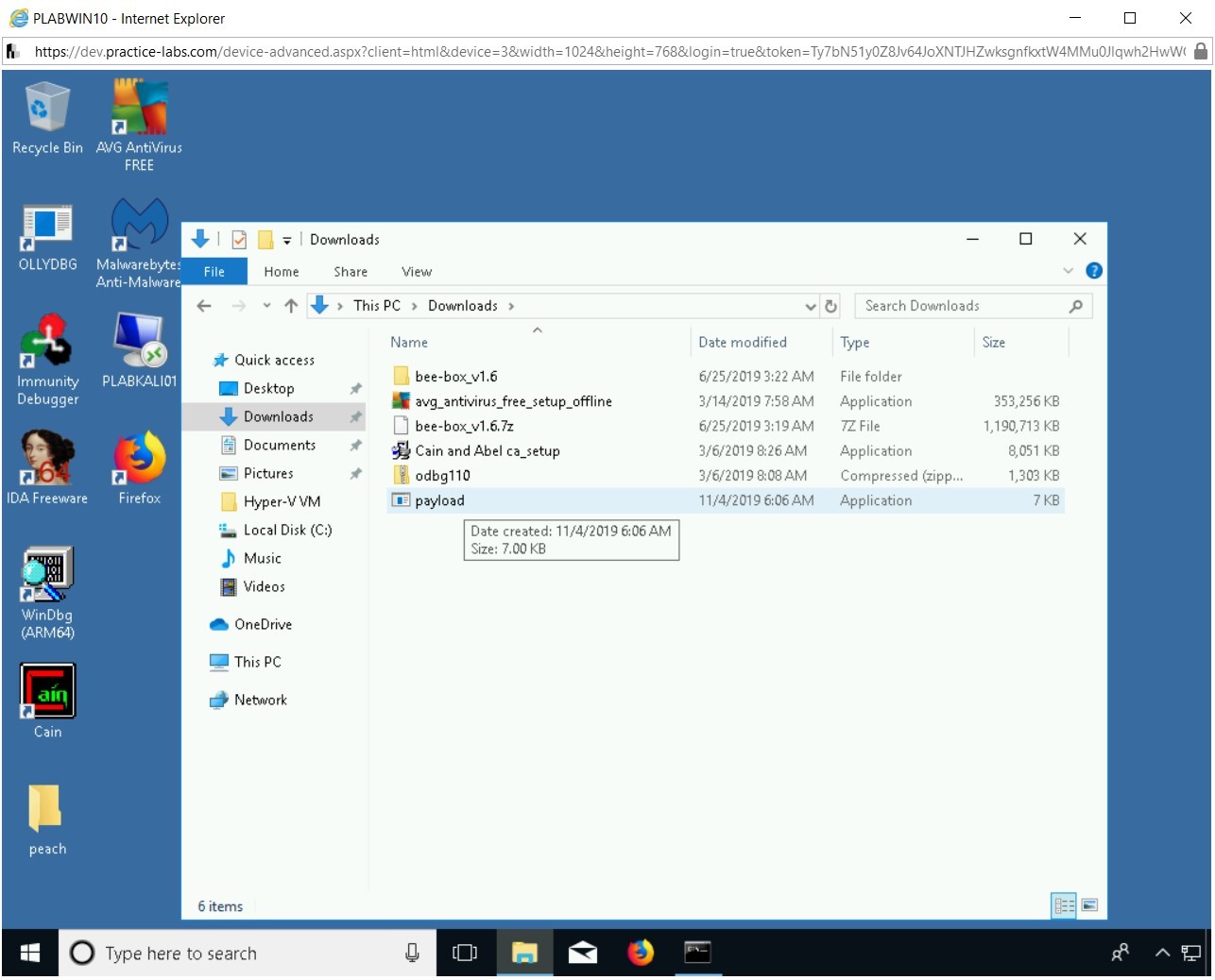 Figure 2.39 Screenshot of PLABWIN10