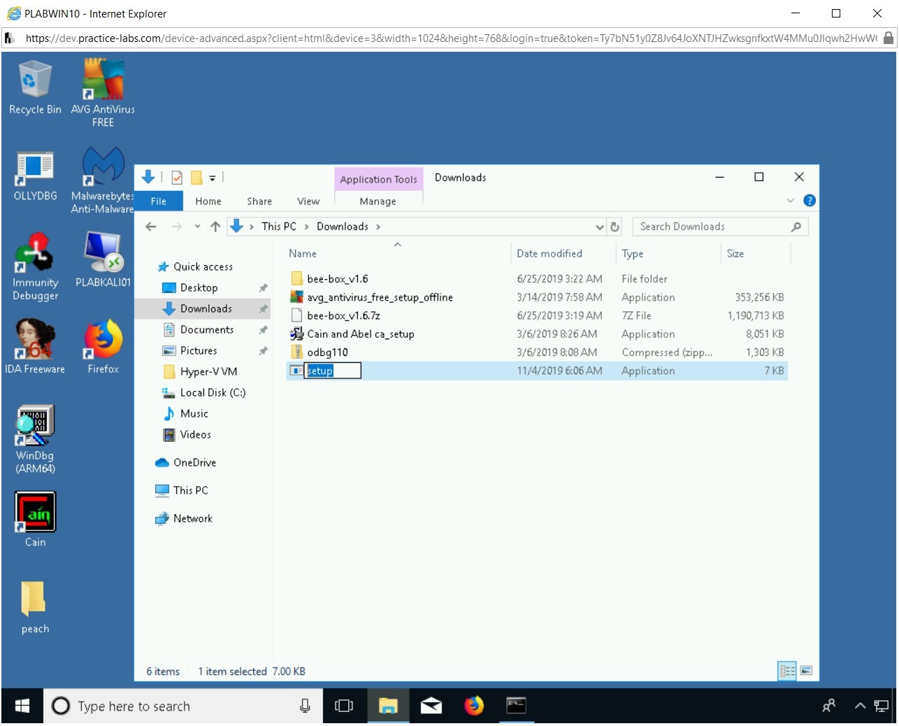 Figure 2.40 Screenshot of PLABWIN10