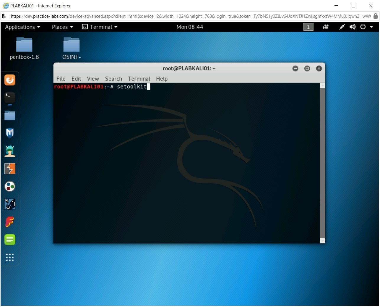 Figure 2.3 Screenshot of PLABKALI01