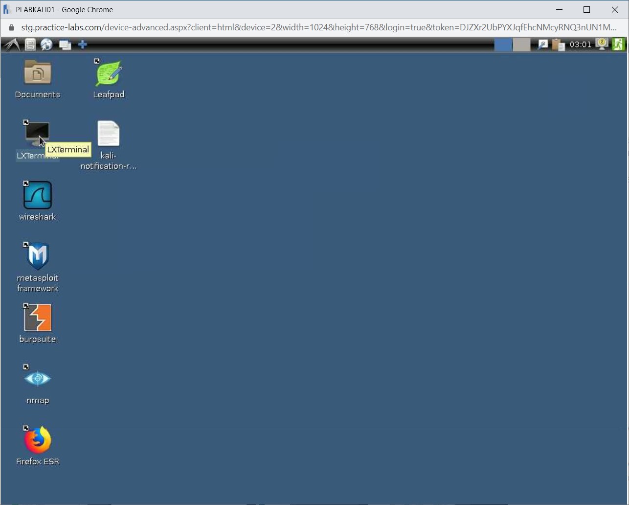 Figure 1.1 Screenshot of PLABKALI01