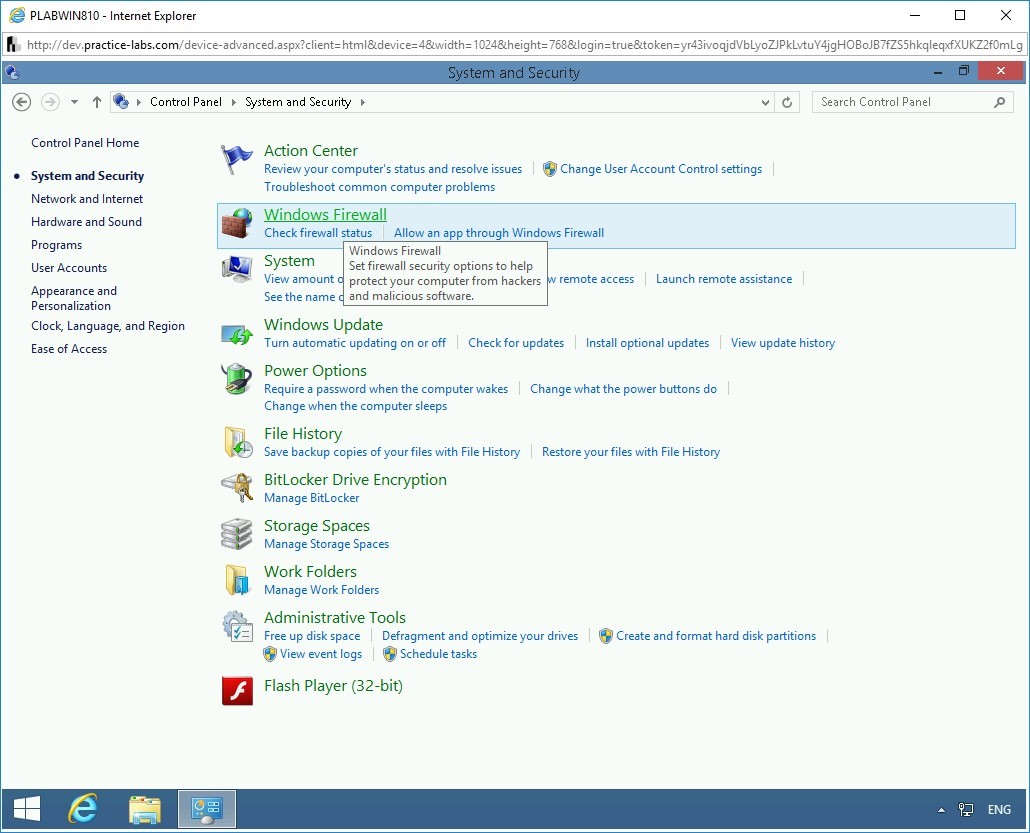 Figure 1.20 Screenshot of PLABWIN810