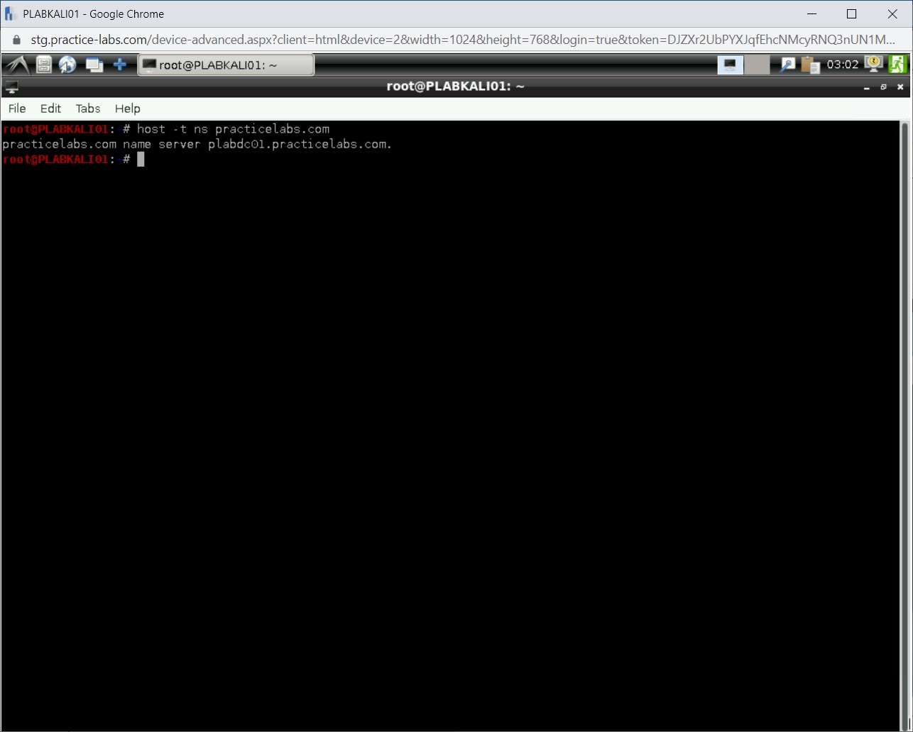 Figure 1.3 Screenshot of PLABKALI01