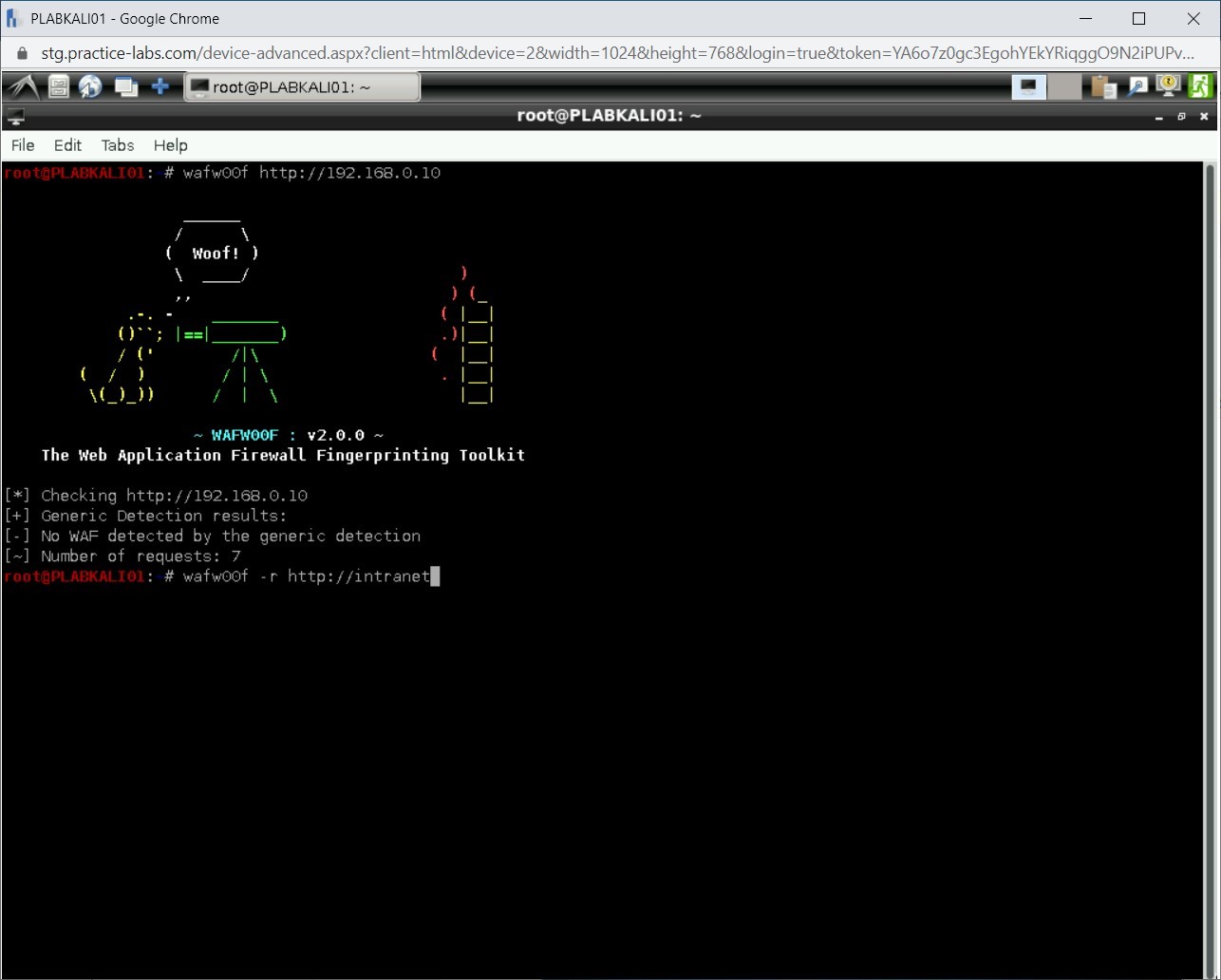 Figure 1.61 Screenshot of PLABKALI01