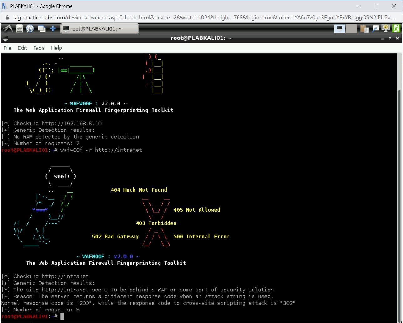 Figure 1.62 Screenshot of PLABKALI01