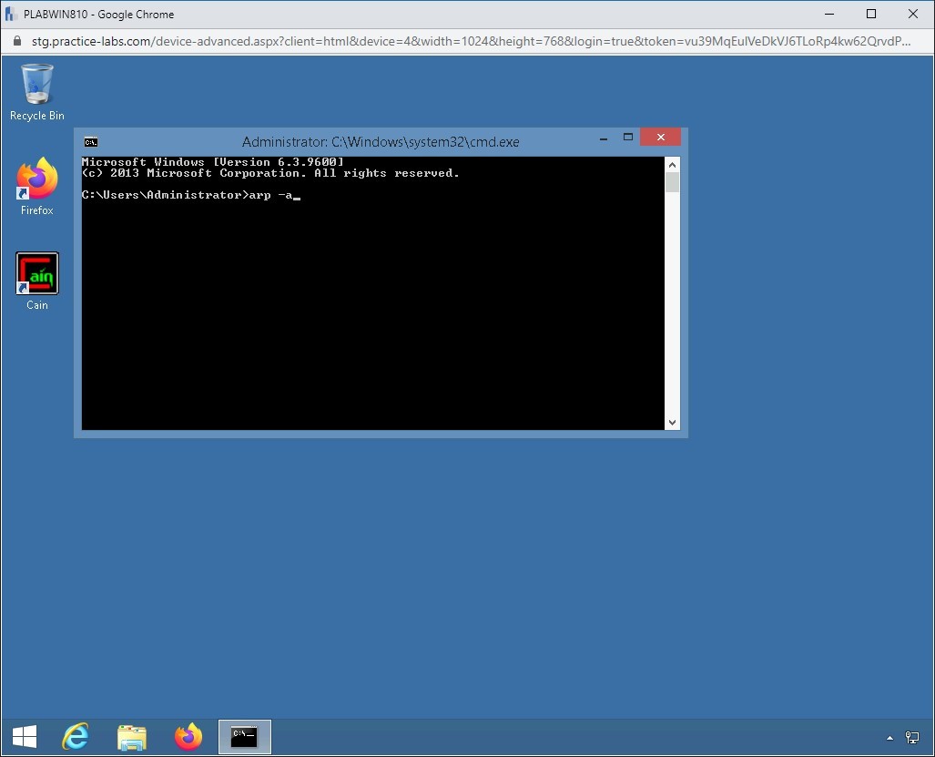 Figure 1.13 Screenshot of PLABWIN810