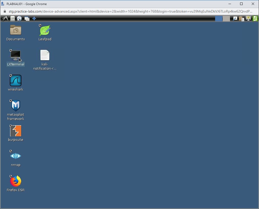 Figure 1.1 Screenshot of PLABKALI01