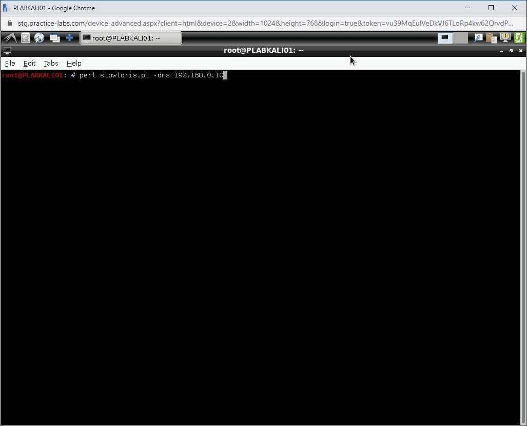 Figure 1.2 Screenshot of PLABKALI01