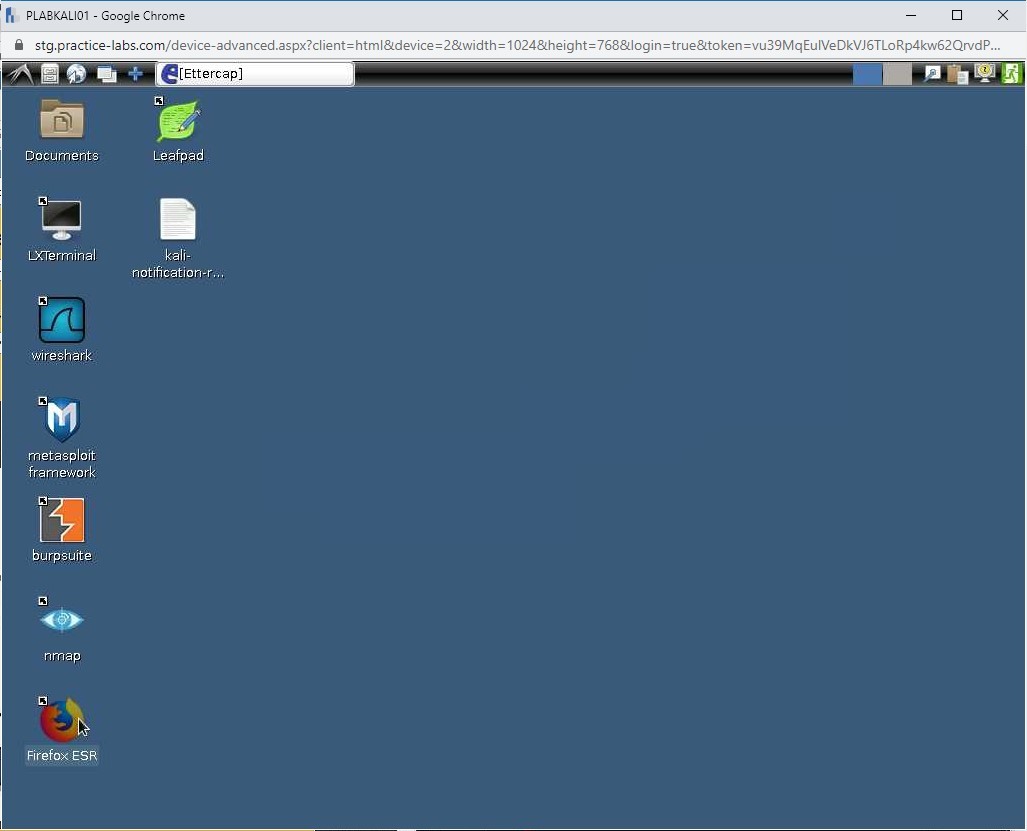 Figure 1.37 Screenshot of PLABKALI01