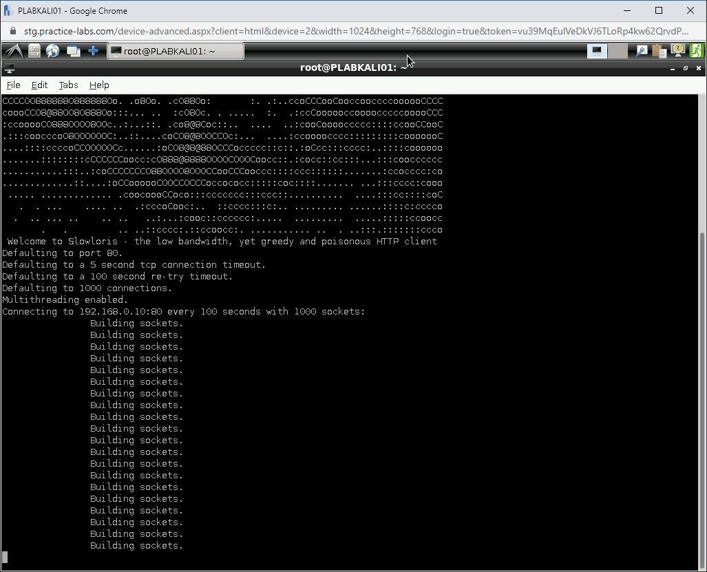 Figure 1.3 Screenshot of PLABKALI01